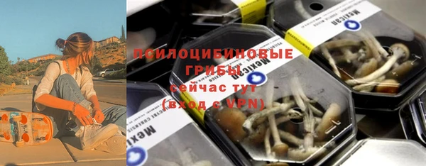 прущий лед Абаза