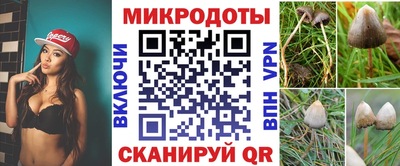 где продают   сайты даркнета как зайти  Галлюциногенные грибы мухоморы  Хилок 
